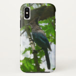 Steller's Jay in Yosemite National Park iPhone X Case