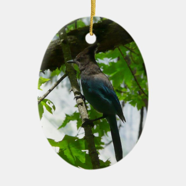 Steller's Jay in Yosemite National Park Ceramic Ornament (Front)