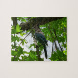 Steller's Jay in Yosemite National Park Jigsaw Puzzle