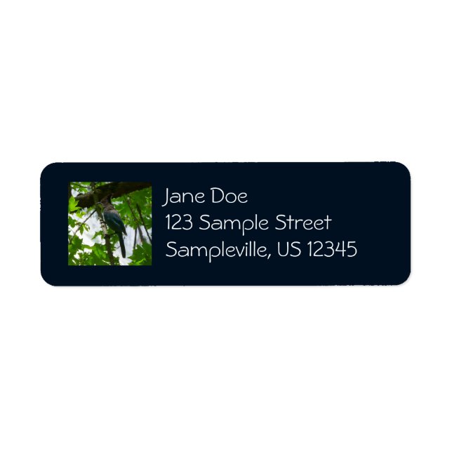 Steller's Jay in Yosemite National Park Label (Front)