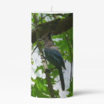 Steller's Jay in Yosemite National Park Pillar Candle