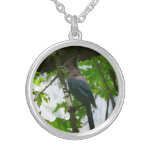 Steller's Jay in Yosemite National Park Silver Plated Necklace