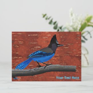 Steller's Jay On Inner Birch Bark