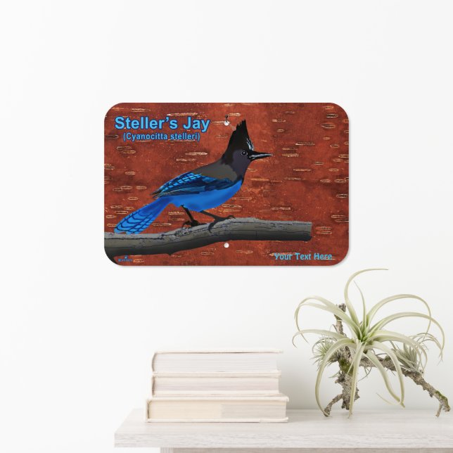 Steller's Jay On Inner Birch Bark Acrylic Print Metal Sign (In Situ(Wall))