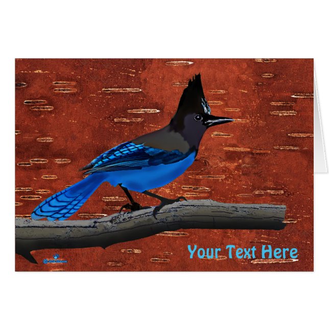 Steller's Jay On Inner Birch Bark Cards (Front Horizontal)