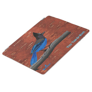 Steller's Jay On Inner Birch Bark iPad Smart Cover