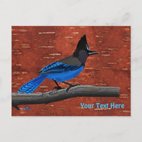 Stellers Jay On Inner Birch Bark Postcard