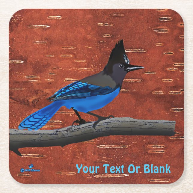 Steller's Jay On Inner Birch Bark Square Paper Coaster (Front)