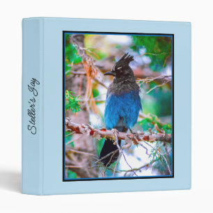 Steller's Jay - Original Photograph 3 Ring Binder