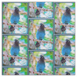 Steller's Jay - Original Photograph Fabric