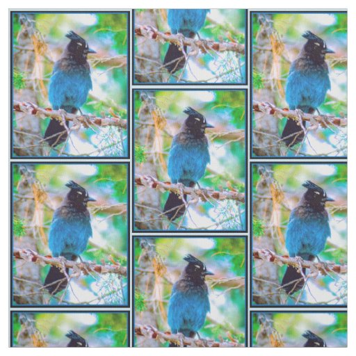 Steller's Jay - Original Photograph Fabric