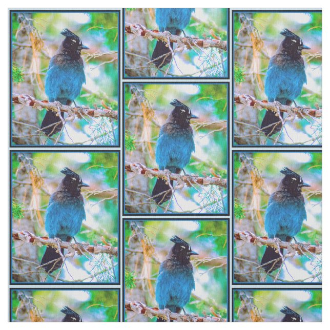 Steller's Jay - Original Photograph Fabric (Swatch)