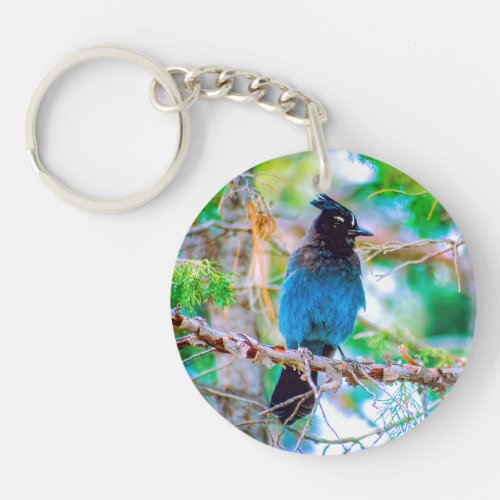 Stellers Jay _ Original Photograph Keychain