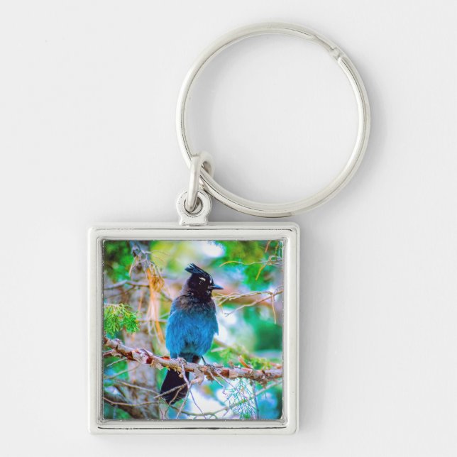 Steller's Jay - Original Photograph Keychain (Front)