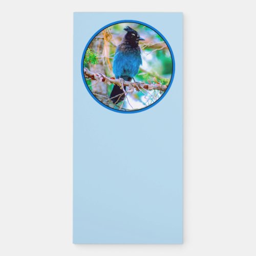 Stellers Jay _ Original Photograph Magnetic Notepad