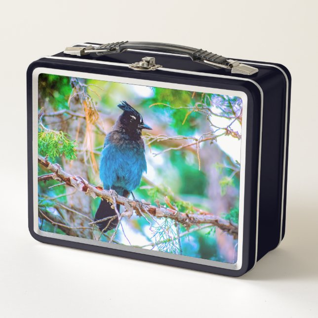 Steller's Jay - Original Photograph Metal Lunch Box (Front)