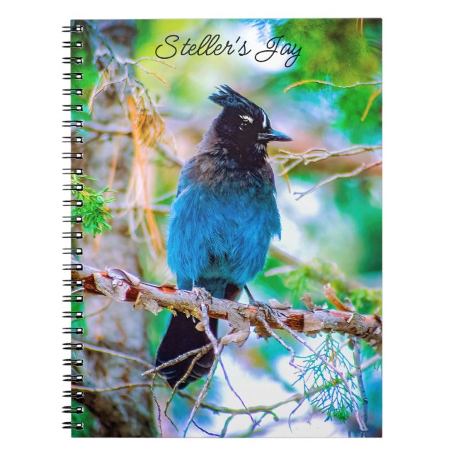 Steller's Jay - Original Photograph Notebook (Front)