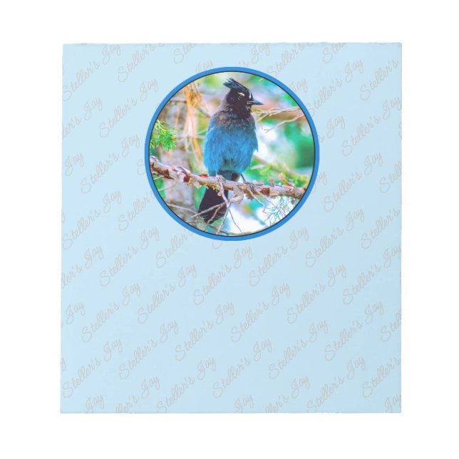 Steller's Jay - Original Photograph Notepad (Front)