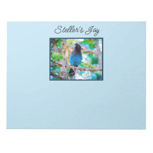 Steller's Jay - Original Photograph Notepad