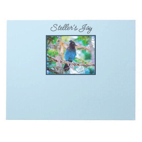 Stellers Jay _ Original Photograph Notepad