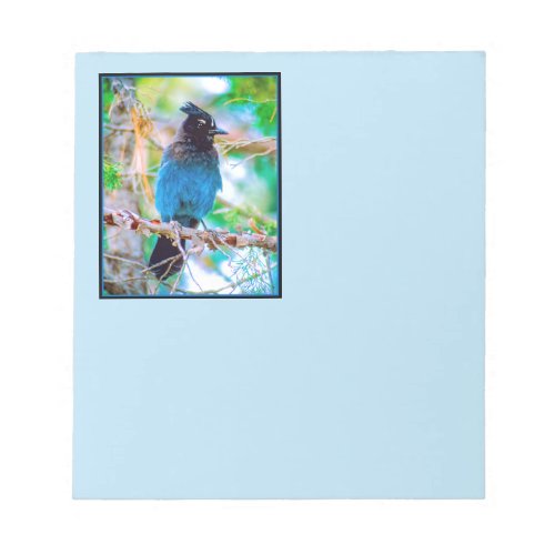 Stellers Jay _ Original Photograph Notepad