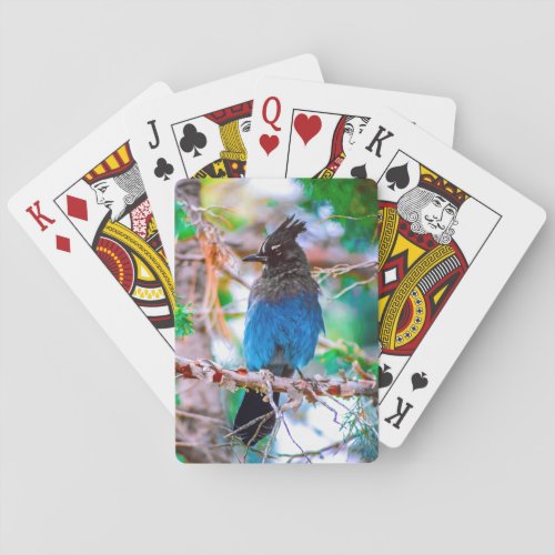 Stellers Jay _ Original Photograph Playing Cards