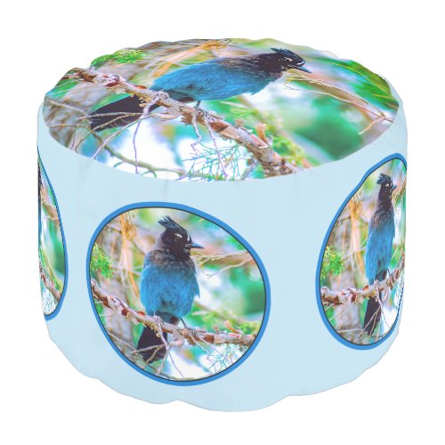 Stellers Jay _ Original Photograph Pouf