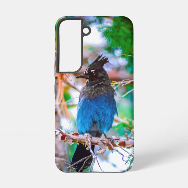 Steller's Jay - Original Photograph Samsung Galaxy Case (Back)