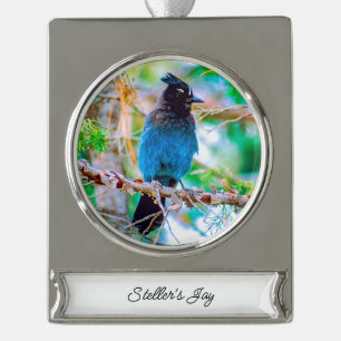 Steller's Jay - Original Photograph Silver Plated Banner Ornament