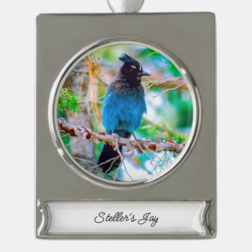 Stellers Jay _ Original Photograph Silver Plated Banner Ornament