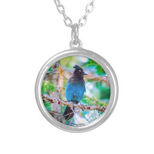 Stellers Jay _ Original Photograph Silver Plated Necklace