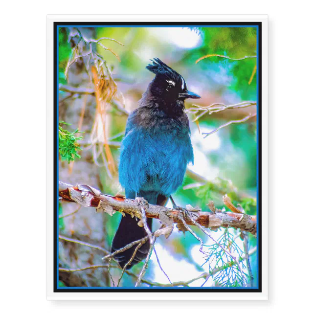 Blue Jay Bird Rubber Stamp Save 25%