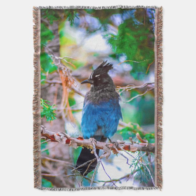 Steller's Jay - Original Photograph Throw Blanket (Front Vertical)