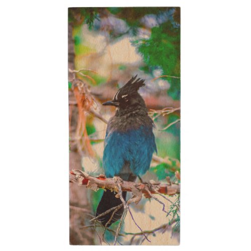 Stellers Jay _ Original Photograph Wood Flash Drive