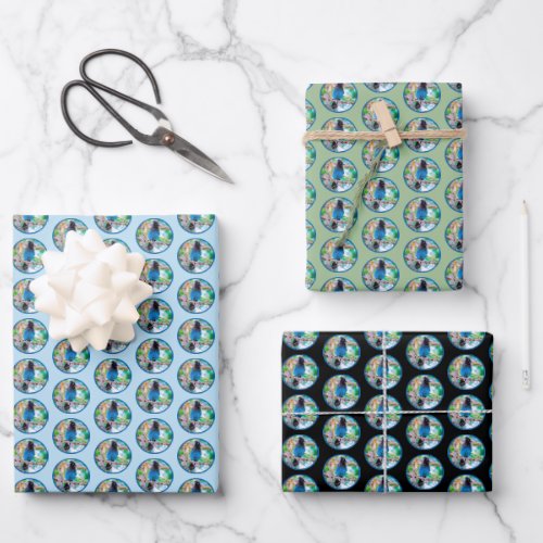 Stellers Jay _ Original Photograph Wrapping Paper Sheets