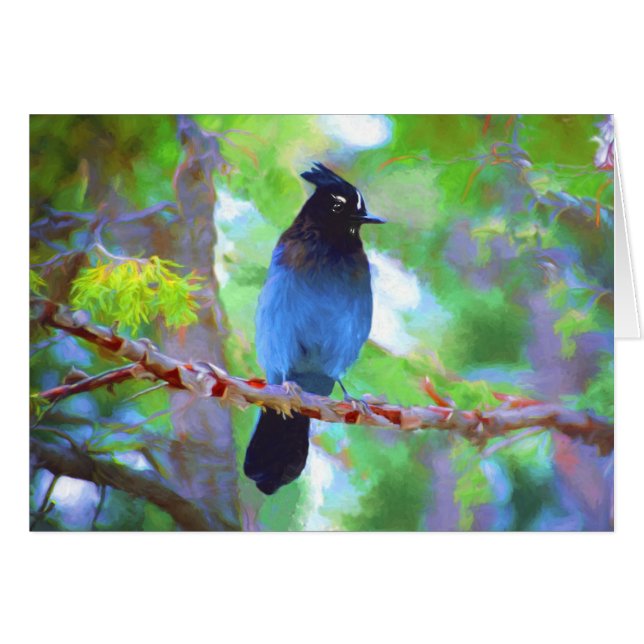 Steller's Jay Painting - Original Bird Art (Front Horizontal)