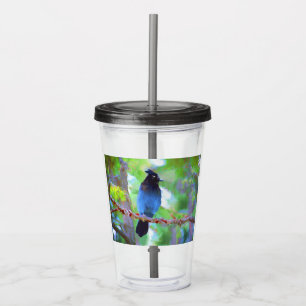 Steller's Jay Painting - Original Bird Art Acrylic Tumbler