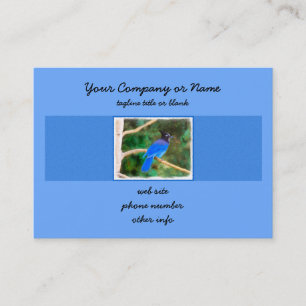 Steller's Jay Painting - Original Bird Art Business Card
