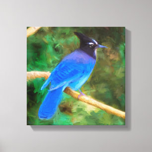 Steller's Jay Painting - Original Bird Art Canvas Print
