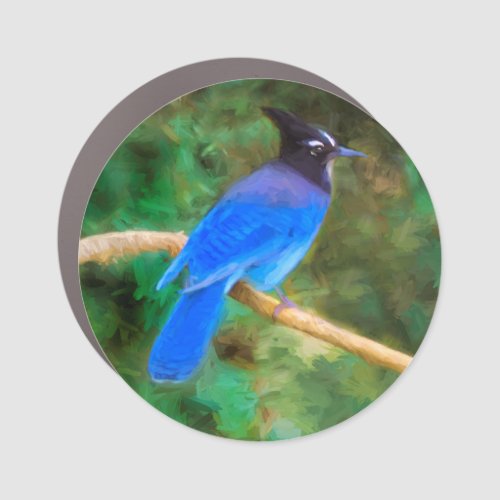 Stellers Jay Painting _ Original Bird Art Car Magnet