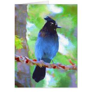 Steller's Jay Painting - Original Bird Art Card