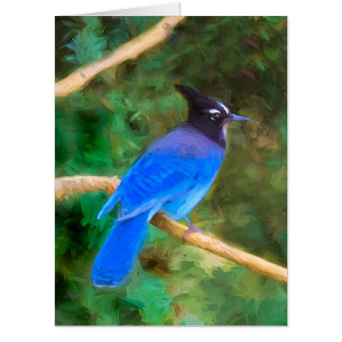 Stellers Jay Painting _ Original Bird Art Card