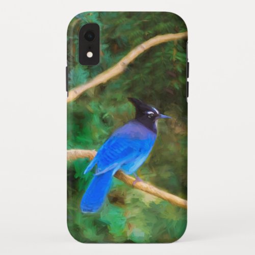 Stellers Jay Painting _ Original Bird Art iPhone XR Case