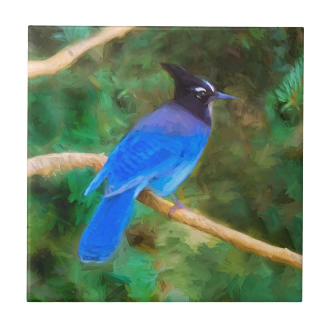 Steller's Jay Painting - Original Bird Art Ceramic Tile (Front)
