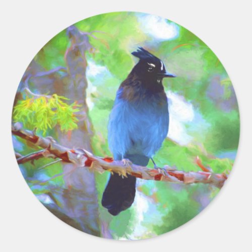 Stellers Jay Painting _ Original Bird Art Classic Round Sticker