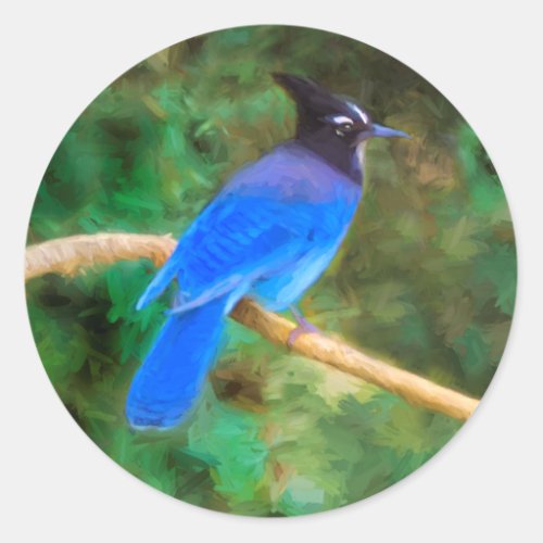 Stellers Jay Painting _ Original Bird Art Classic Round Sticker