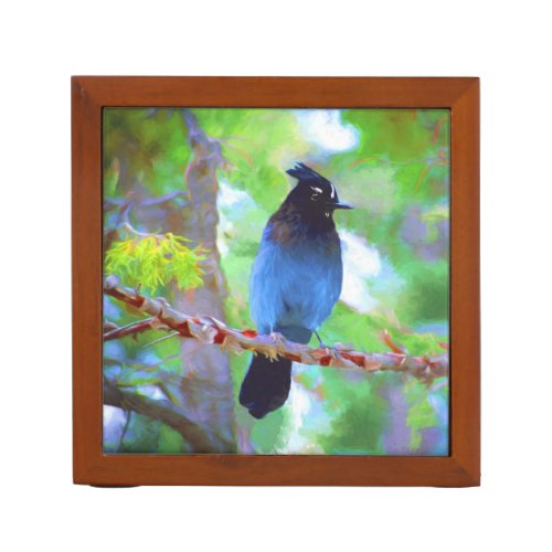 Stellers Jay Painting _ Original Bird Art Desk Organizer