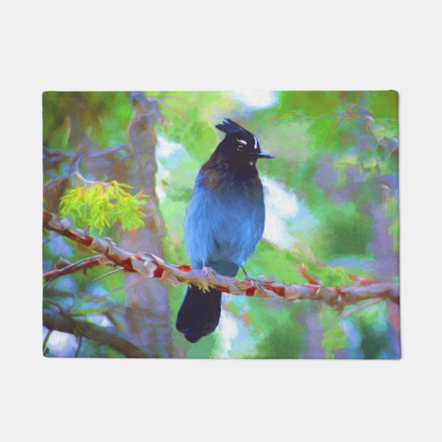 Steller's Jay Painting - Original Bird Art Doormat (Front)