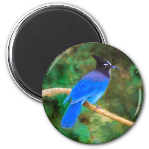 Stellers Jay Painting _ Original Bird Art Magnet