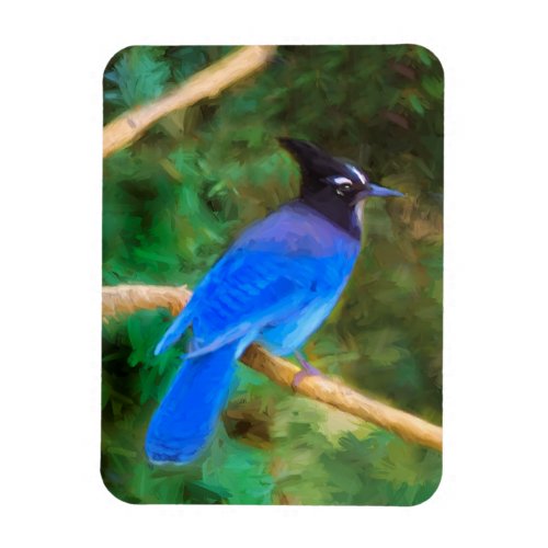 Stellers Jay Painting _ Original Bird Art Magnet